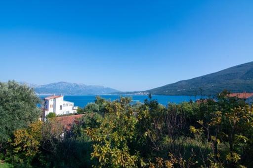 Apartments Savic Herceg Novi Exterior photo